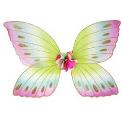 Forest Fairy Wings